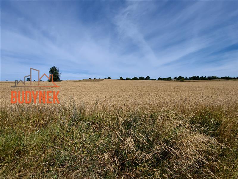Działka rolna - Zakrzewo  (5)