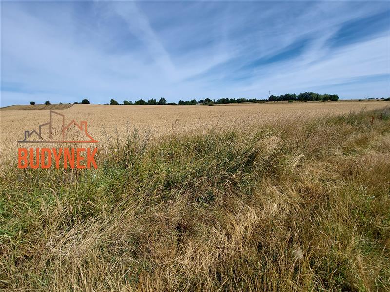Działka rolna - Zakrzewo  (6)