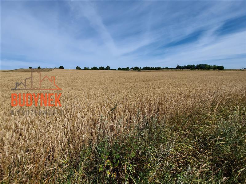 Działka rolna - Zakrzewo  (7)