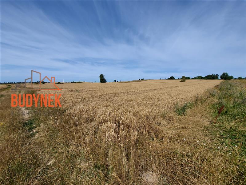 Działka rolna - Zakrzewo  (8)
