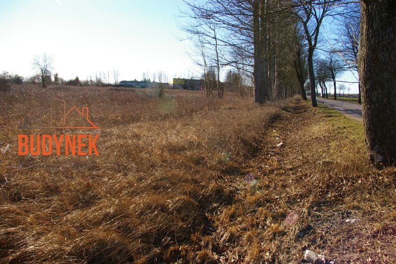 Działka przemysłowa - Cisowo  (11)