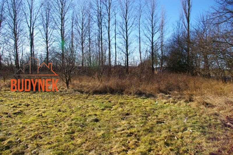 Działka przemysłowa - Cisowo  (9)