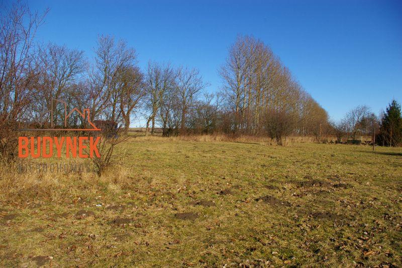 Działka przemysłowa - Cisowo  (11)