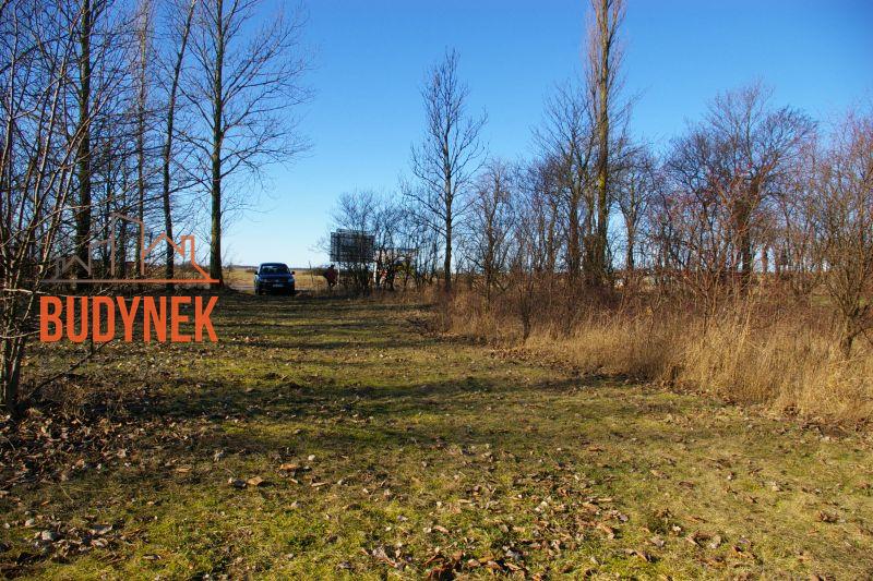 Działka przemysłowa - Cisowo  (12)