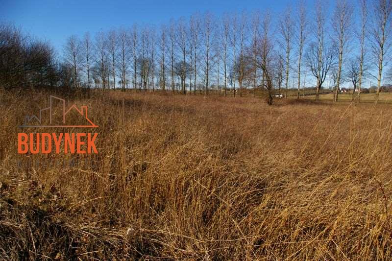 Działka przemysłowa - Cisowo  (15)