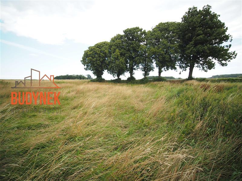 Działka rolna - Rusinowo  (10)