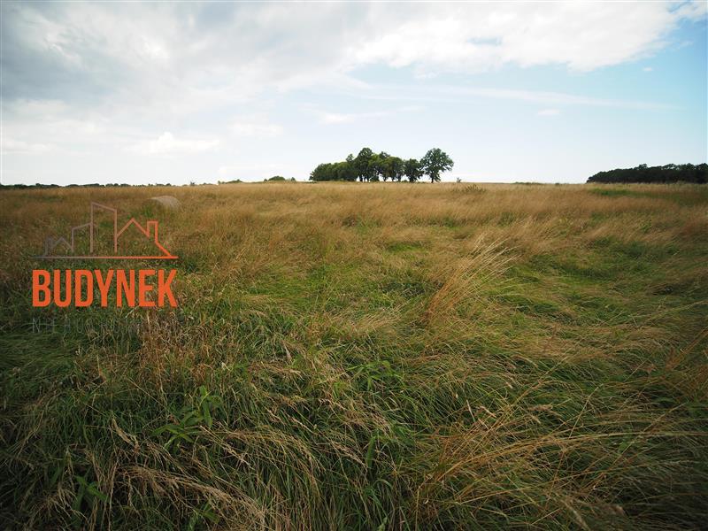 Działka rolna - Rusinowo  (11)