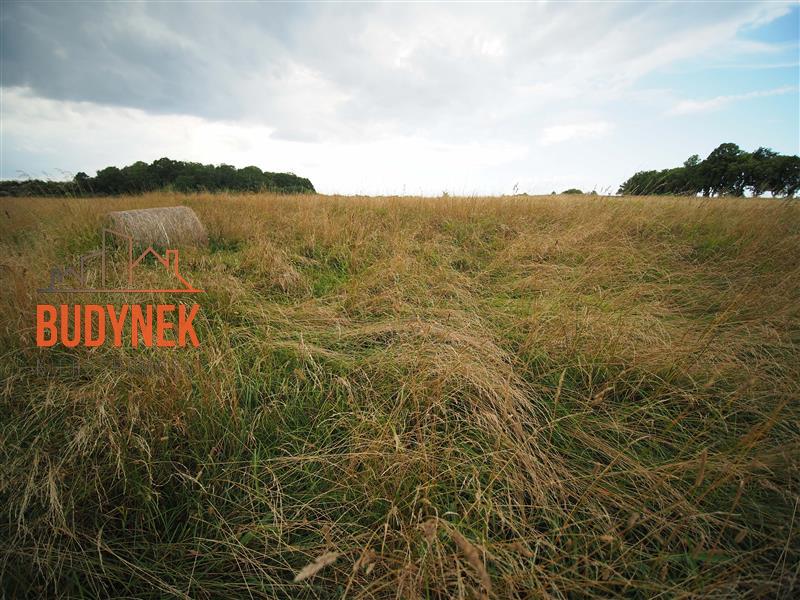 Działka rolna - Rusinowo  (12)