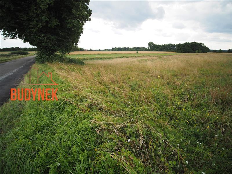 Działka rolna - Rusinowo  (13)