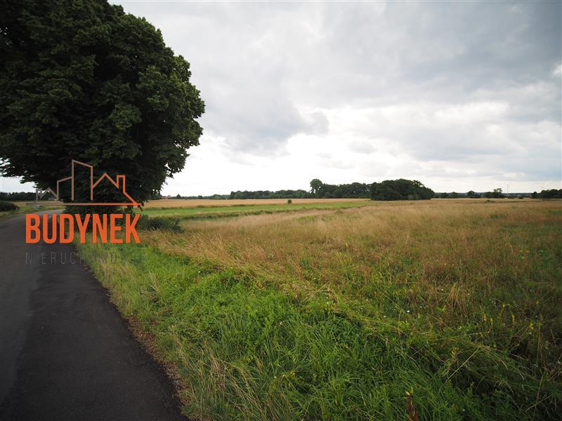 Działka rolna - Rusinowo  (14)