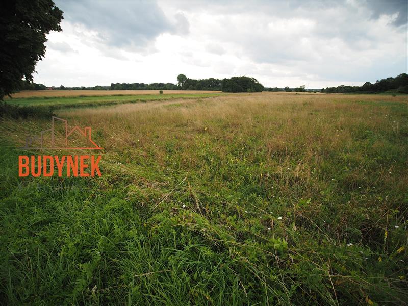 Działka rolna - Rusinowo  (15)