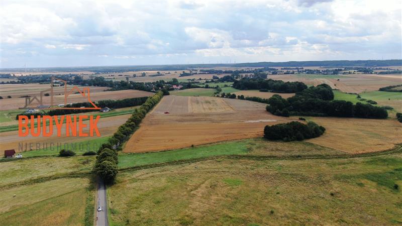 Działka rolna - Rusinowo  (3)