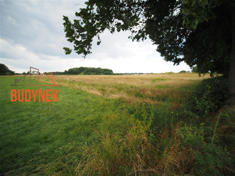 Działka rolna - Rusinowo  (6)