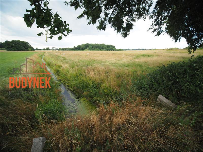 Działka rolna - Rusinowo  (8)