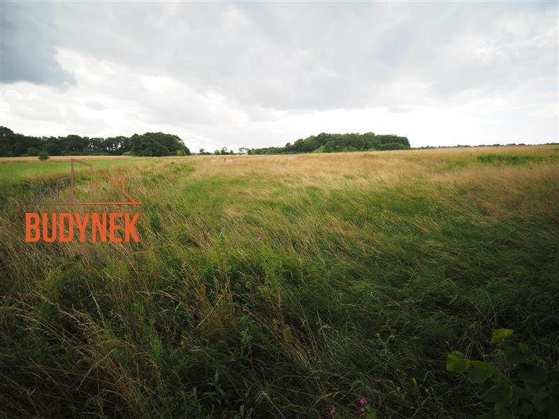 Działka rolna - Rusinowo  (9)