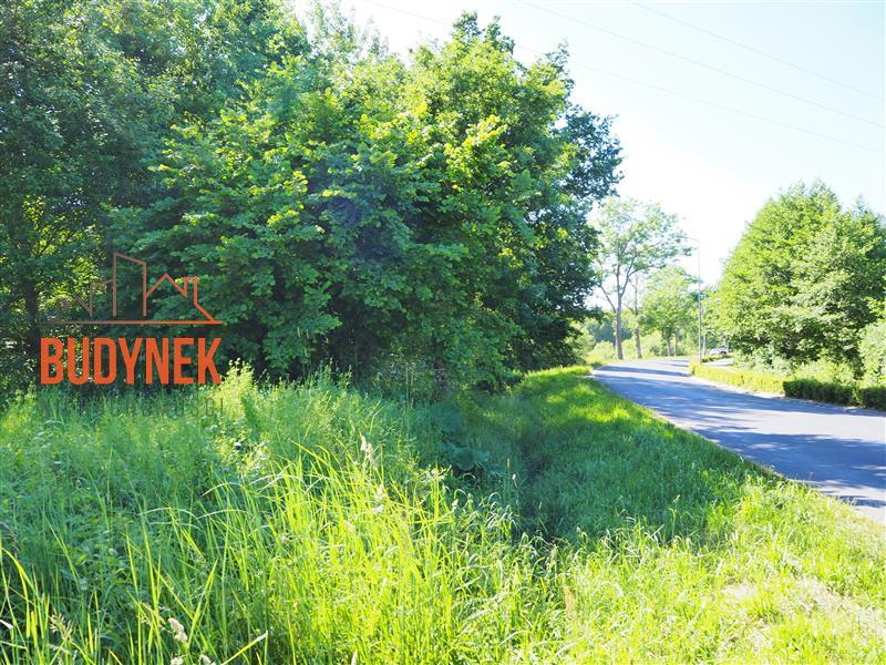 Działka usługowa - Jezierzany  (11)