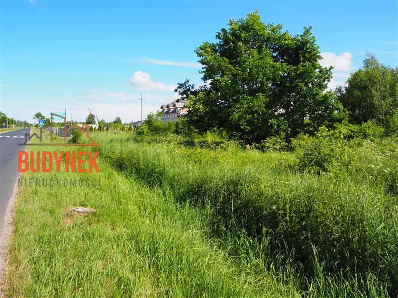 Działka usługowa - Jezierzany  (13)