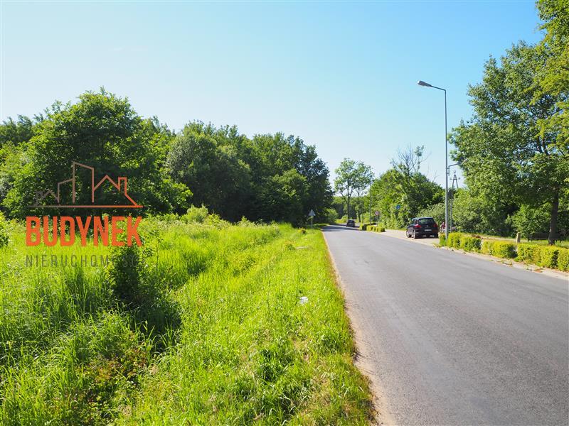 Działka usługowa - Jezierzany  (14)