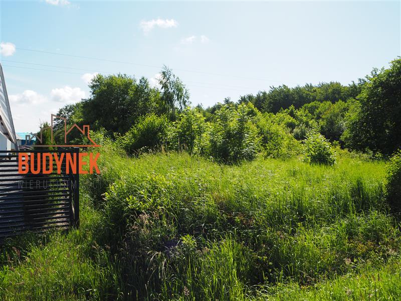 Działka usługowa - Jezierzany  (15)