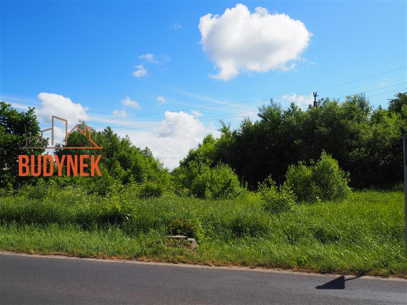 Działka usługowa - Jezierzany  (6)