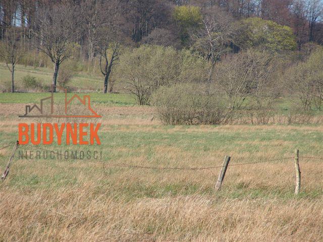 Działka rolna - Karsino  (11)