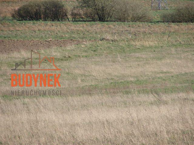 Działka rolna - Karsino  (12)