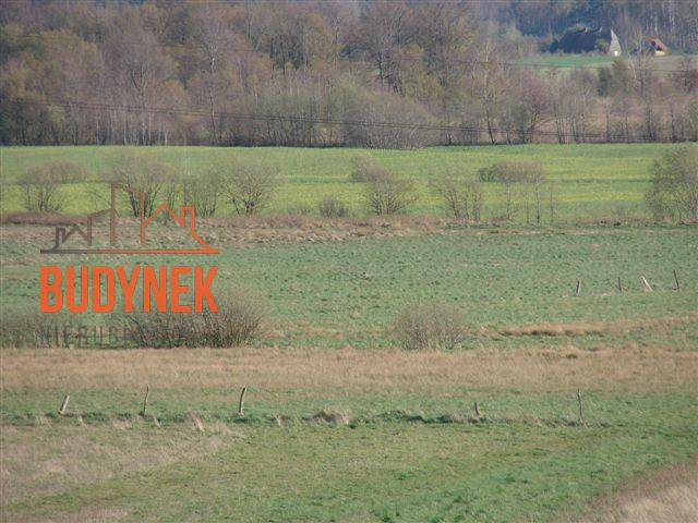 Działka rolna - Karsino  (4)