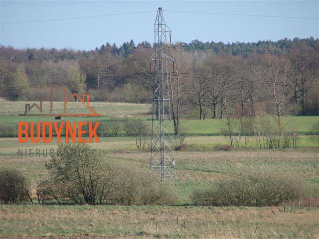 Działka rolna - Karsino  (5)