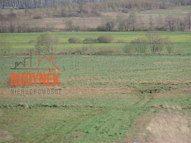 Działka rolna - Karsino  (6)