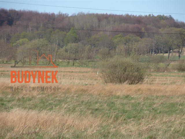 Działka rolna - Karsino  (7)