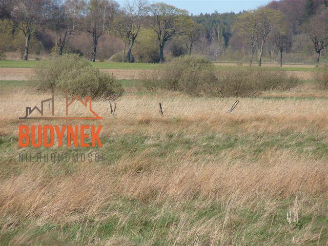 Działka rolna - Karsino  (8)