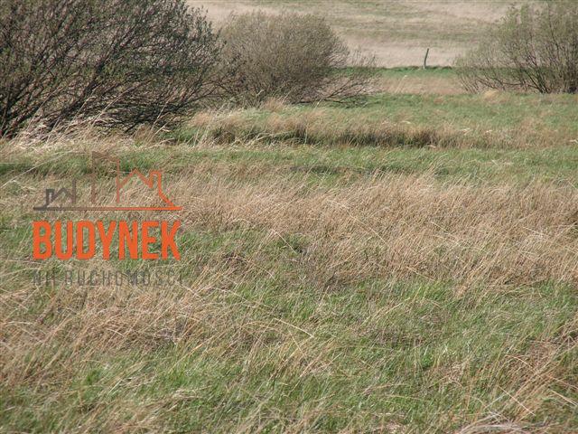 Działka rolna - Karsino  (9)