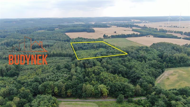 Działka rolna - Lejkowo  (1)