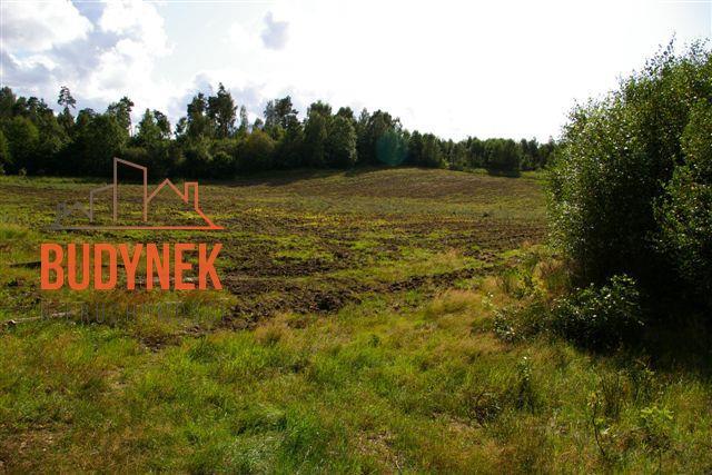 Działka rolna - Lejkowo  (10)