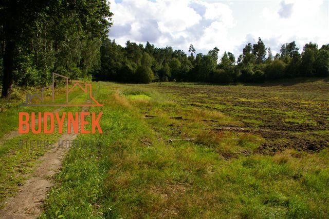 Działka rolna - Lejkowo  (11)