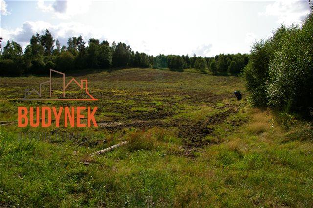 Działka rolna - Lejkowo  (12)