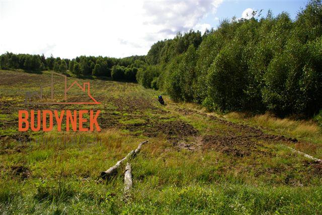 Działka rolna - Lejkowo  (13)