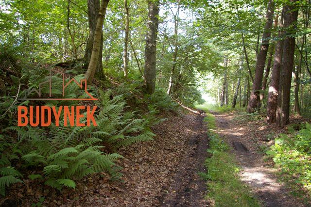 Działka rolna - Lejkowo  (15)