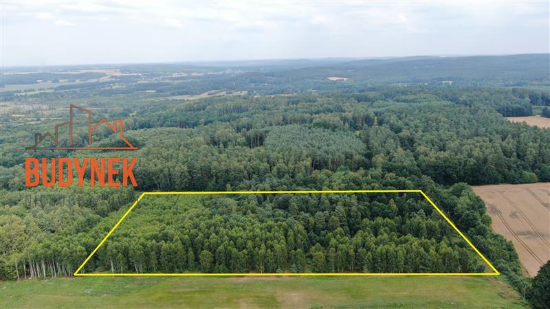 Działka rolna - Lejkowo  (2)