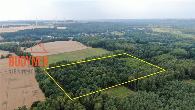 Działka rolna - Lejkowo  (3)