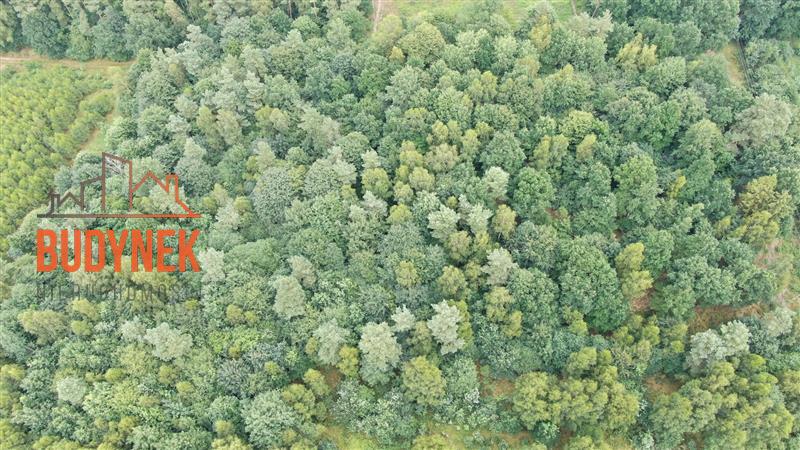 Działka rolna - Lejkowo  (4)