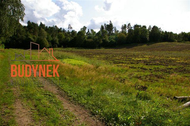 Działka rolna - Lejkowo  (5)