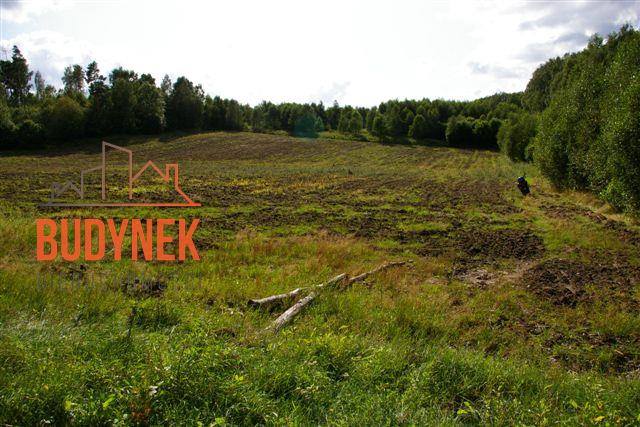 Działka rolna - Lejkowo  (6)