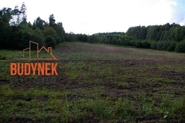 Działka rolna - Lejkowo  (8)