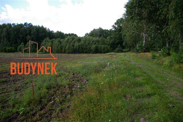 Działka rolna - Lejkowo  (9)