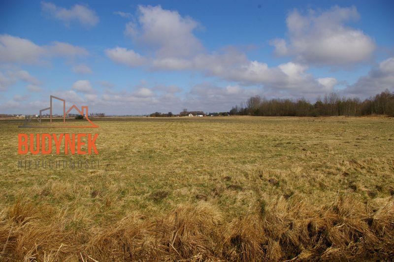 Działka rolna - Domasławice  (10)