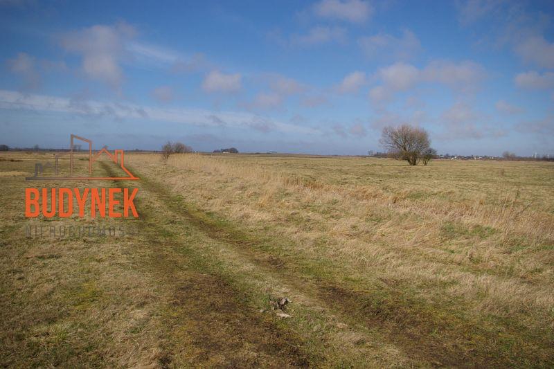 Działka rolna - Domasławice  (11)
