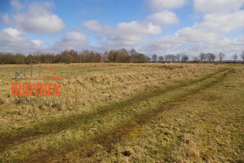 Działka rolna - Domasławice  (12)