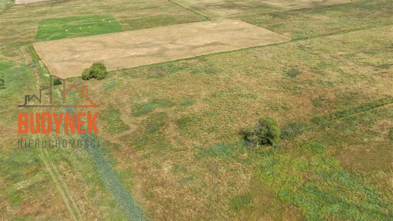 Działka rolna - Domasławice  (3)