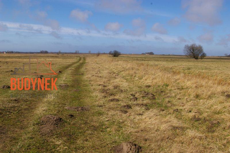 Działka rolna - Domasławice  (5)
